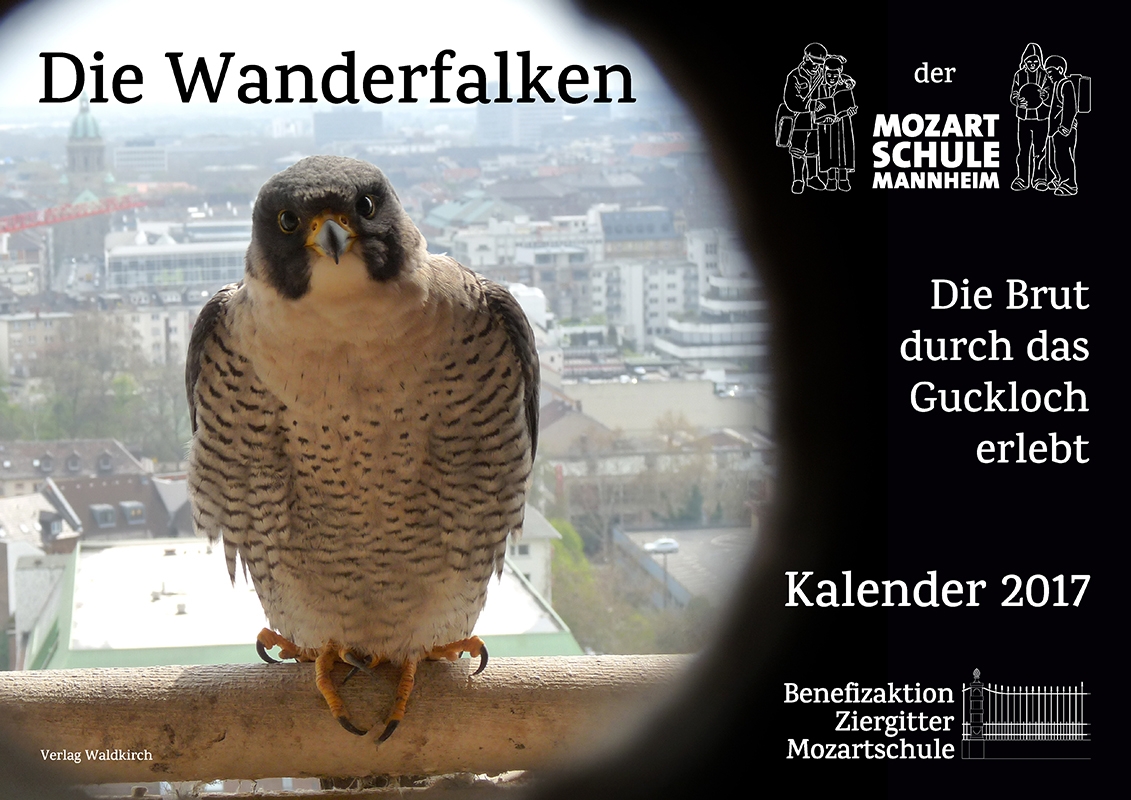 Kalender 2017 - Die Wanderfalken der Mozartschule Mannheim